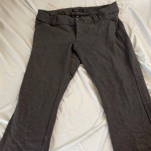 Torrid studio pants